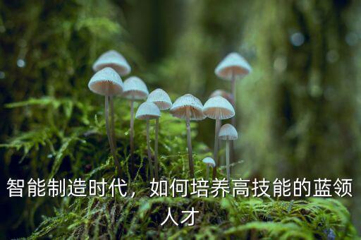 智能制造時代，如何培養(yǎng)高技能的藍領(lǐng)人才