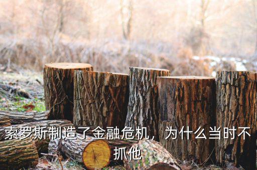索羅斯制造了金融危機，為什么當時不抓他
