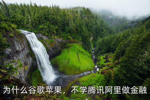 為什么谷歌蘋果，不學(xué)騰訊阿里做金融