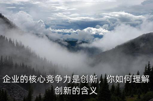 企業(yè)的核心競(jìng)爭(zhēng)力是創(chuàng)新，你如何理解創(chuàng)新的含義
