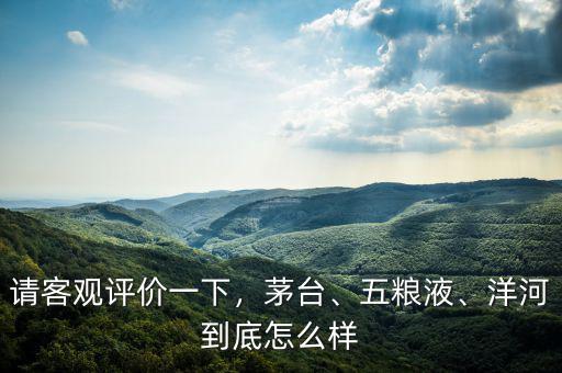 請(qǐng)客觀評(píng)價(jià)一下，茅臺(tái)、五糧液、洋河到底怎么樣