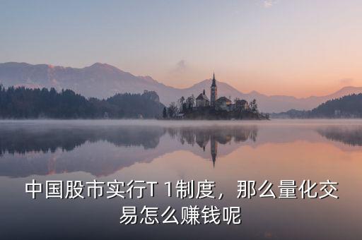 中國股市實行T 1制度，那么量化交易怎么賺錢呢