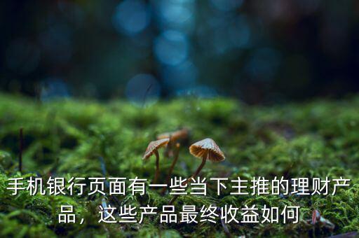 手機銀行頁面有一些當下主推的理財產品，這些產品最終收益如何