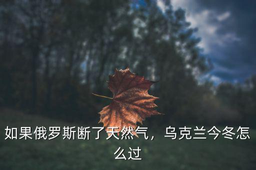 如果俄羅斯斷了天然氣，烏克蘭今冬怎么過