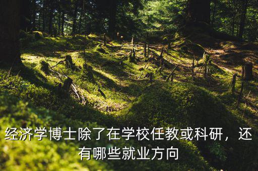 經(jīng)濟(jì)學(xué)博士除了在學(xué)校任教或科研，還有哪些就業(yè)方向