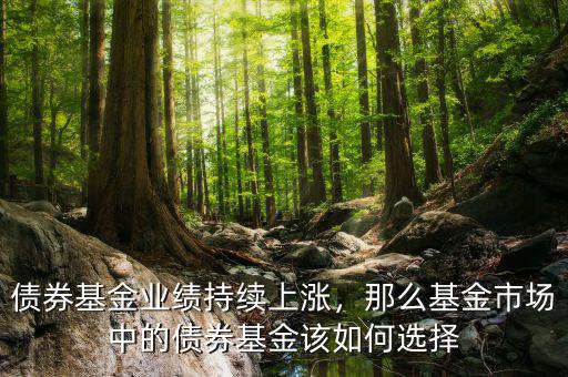 債券基金業(yè)績持續(xù)上漲，那么基金市場中的債券基金該如何選擇