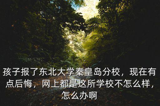 孩子報(bào)了東北大學(xué)秦皇島分校，現(xiàn)在有點(diǎn)后悔，網(wǎng)上都是這所學(xué)校不怎么樣，怎么辦啊