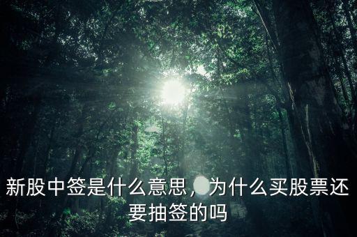 新股中簽是什么意思，為什么買股票還要抽簽的嗎
