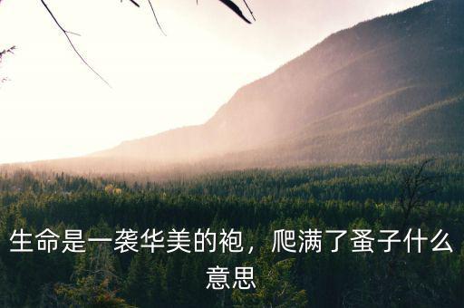 生命是一襲華美的袍，爬滿了蚤子什么意思