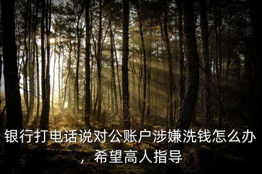 銀行打電話說對公賬戶涉嫌洗錢怎么辦，希望高人指導(dǎo)
