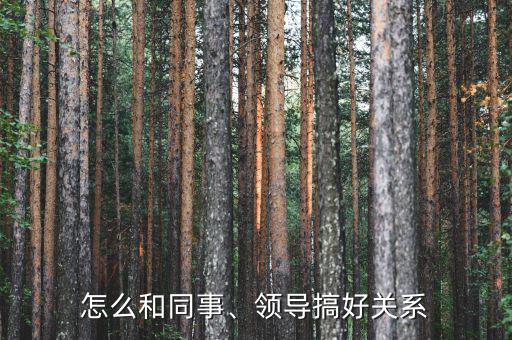 怎么和同事、領(lǐng)導搞好關(guān)系