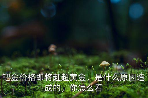 鈀金價格即將趕超黃金，是什么原因造成的，你怎么看