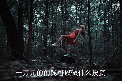 一萬(wàn)元的閑錢(qián)可以做什么投資