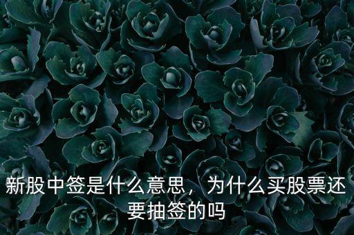 新股中簽是什么意思，為什么買股票還要抽簽的嗎