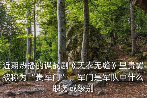 近期熱播的諜戰(zhàn)劇《天衣無(wú)縫》里貴翼被稱為“貴軍門”，軍門是軍隊(duì)中什么職務(wù)或級(jí)別