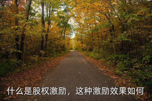 什么是股權激勵，這種激勵效果如何