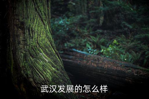 武漢經濟發(fā)展得怎么樣,武漢互聯(lián)網行業(yè)發(fā)展得怎么樣