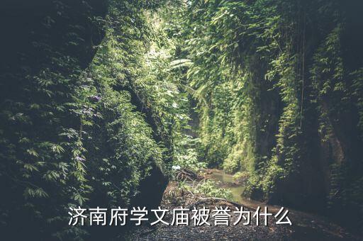 濟南文廟男女開筆禮有什么區(qū)別,濟南府學文廟被譽為什么