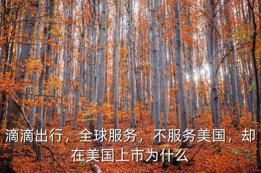 滴滴出行，全球服務(wù)，不服務(wù)美國，卻在美國上市為什么