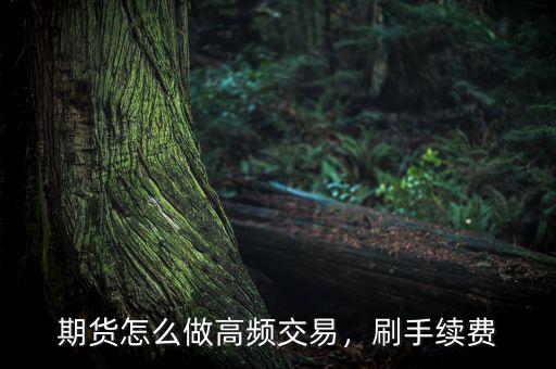 期貨怎么做高頻交易，刷手續(xù)費(fèi)