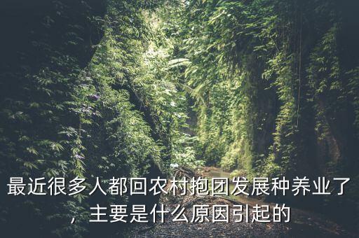 最近很多人都回農(nóng)村抱團發(fā)展種養(yǎng)業(yè)了，主要是什么原因引起的