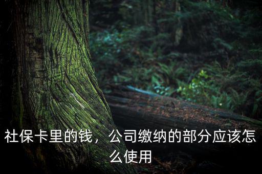 公司交的社保怎么用,社?？ɡ锏腻X