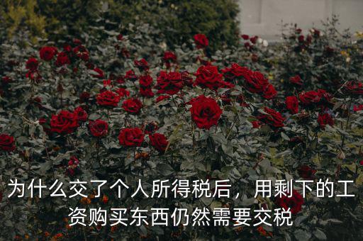 為什么交了個人所得稅后，用剩下的工資購買東西仍然需要交稅