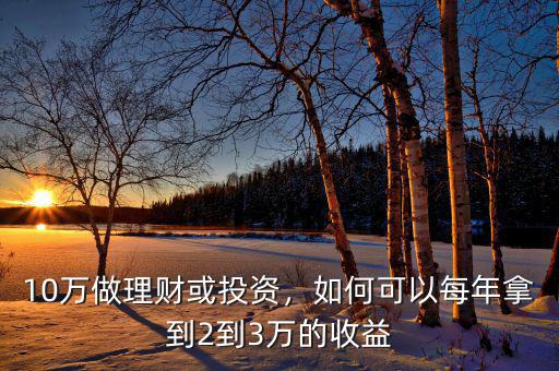 10萬做理財(cái)或投資，如何可以每年拿到2到3萬的收益