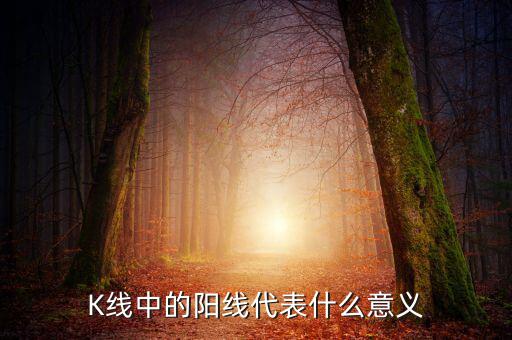 K線中的陽(yáng)線代表什么意義
