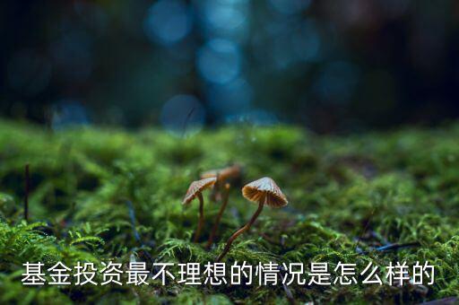小?；鹪趺礃?高位買(mǎi)基金的人