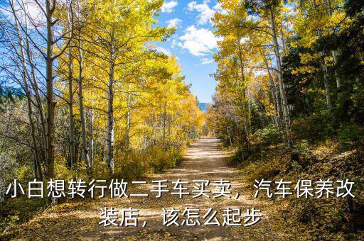 小白想轉(zhuǎn)行做二手車買賣，汽車保養(yǎng)改裝店，該怎么起步