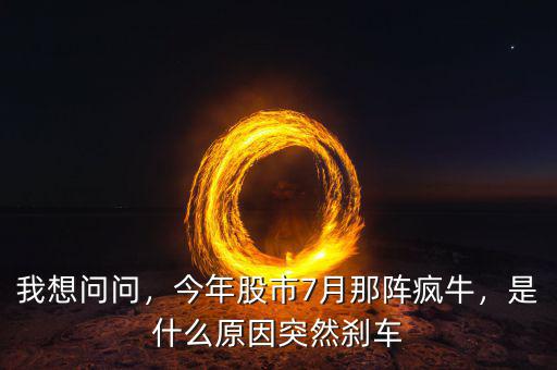 我想問問，今年股市7月那陣瘋牛，是什么原因突然剎車
