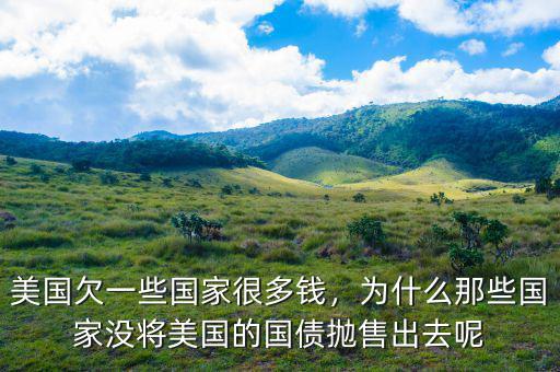 美國(guó)欠一些國(guó)家很多錢，為什么那些國(guó)家沒(méi)將美國(guó)的國(guó)債拋售出去呢