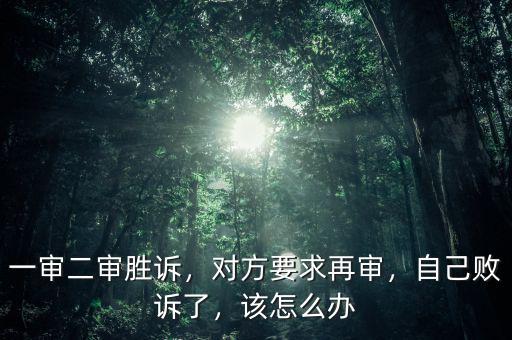 一審二審勝訴，對方要求再審，自己敗訴了，該怎么辦