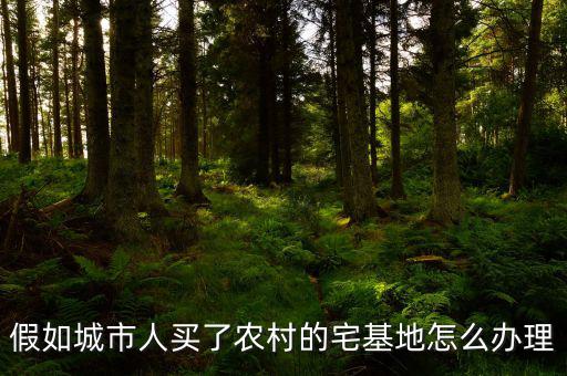農村買的宅基地怎么,假如城市人買了農村的宅基地