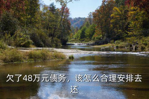 欠了48萬元債務，該怎么合理安排去還