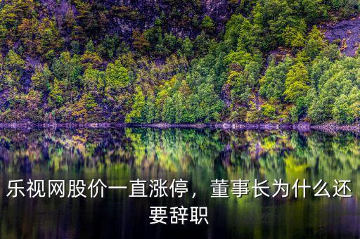 樂(lè)視網(wǎng)股價(jià)一直漲停，董事長(zhǎng)為什么還要辭職