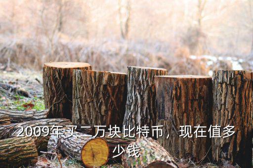 2009年買二萬塊比特幣，現(xiàn)在值多少錢