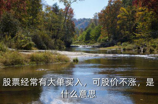股票經(jīng)常有大單買入，可股價不漲，是什么意思