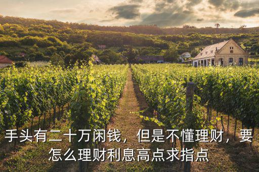 手頭有二十萬(wàn)閑錢(qián)，但是不懂理財(cái)，要怎么理財(cái)利息高點(diǎn)求指點(diǎn)
