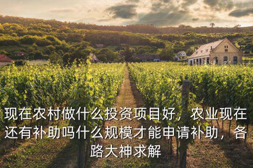 現(xiàn)在農(nóng)村做什么投資項目好，農(nóng)業(yè)現(xiàn)在還有補(bǔ)助嗎什么規(guī)模才能申請補(bǔ)助，各路大神求解