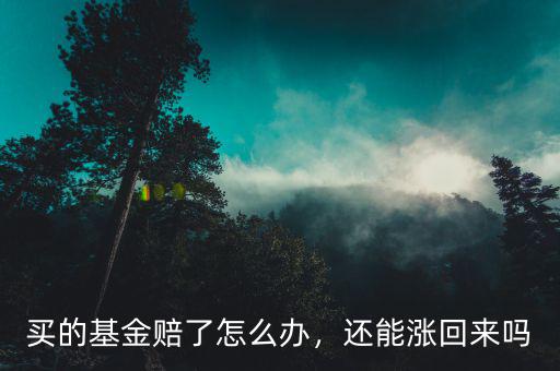買的基金賠了怎么辦，還能漲回來嗎