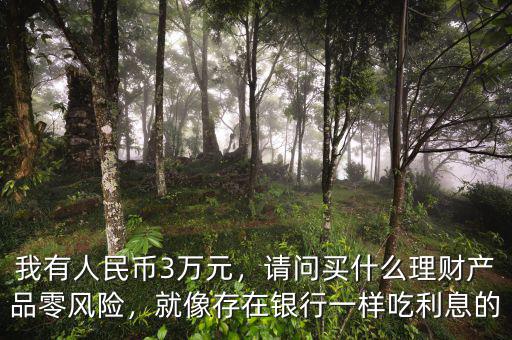 我有人民幣3萬元，請問買什么理財(cái)產(chǎn)品零風(fēng)險(xiǎn)，就像存在銀行一樣吃利息的