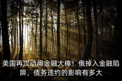 美國再次動用金融大棒！俄掉入金融陷阱，債務(wù)違約的影響有多大