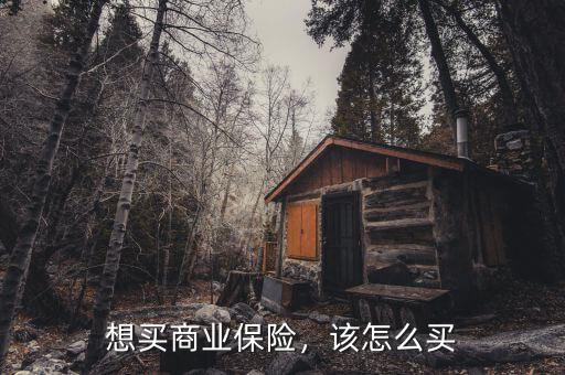 想買商業(yè)保險，該怎么買
