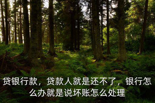 貸銀行款，貸款人就是還不了，銀行怎么辦就是說壞賬怎么處理