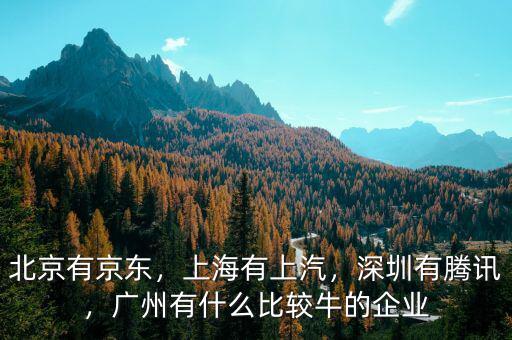 北京有京東，上海有上汽，深圳有騰訊，廣州有什么比較牛的企業(yè)