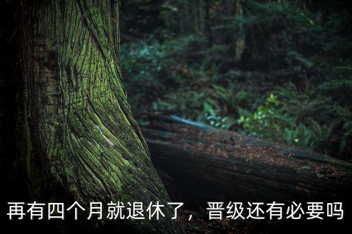 再有四個(gè)月就退休了，晉級(jí)還有必要嗎