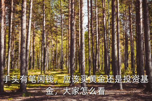 手頭有筆閑錢，應(yīng)該買黃金還是投資基金，大家怎么看