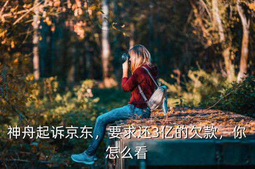神舟起訴京東，要求還3億的欠款，你怎么看